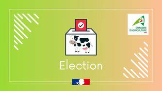 ÉLECTIONS CHAMBRES : AVIS DE RÉVISION DES LISTES ÉLECTORALES